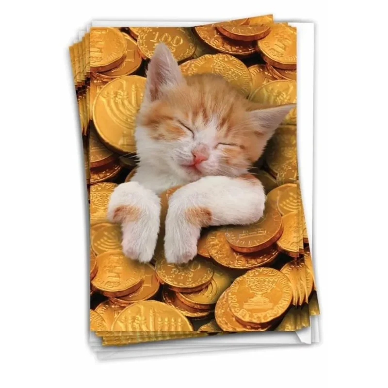 12 sleepy cat gelt cards perfect gift set