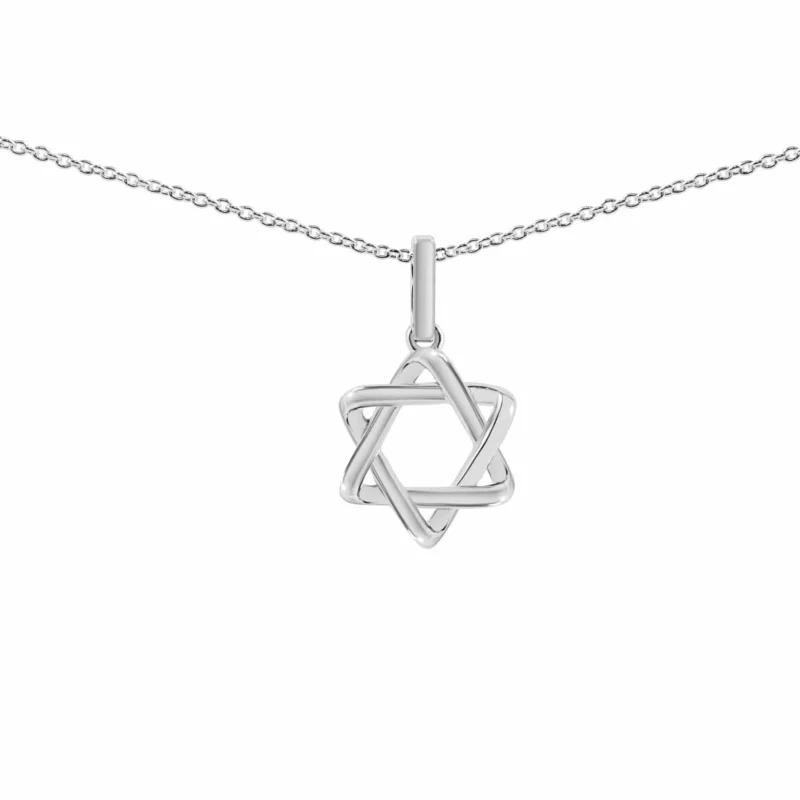 14k white gold curvy star of david necklace