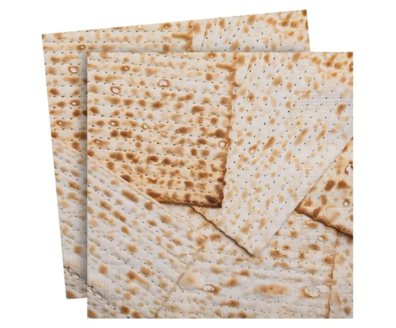 20 matzah printed paper napkins set of 20