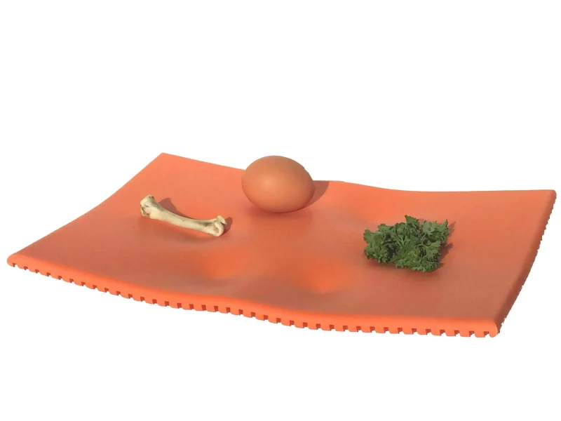 corian orange seder plate premium quality scaled