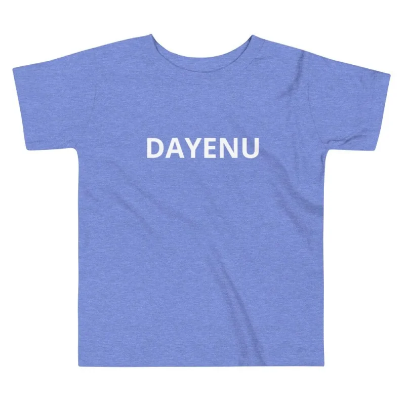 dayenu toddler blue short sleeve tee 4t