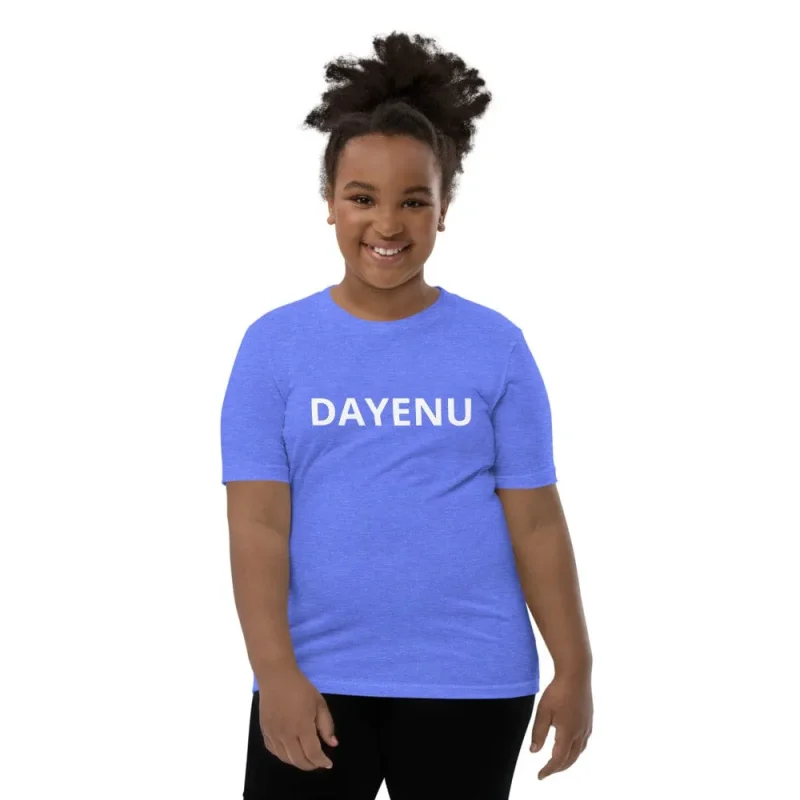 dayenu youth short sleeve t shirt choose your color