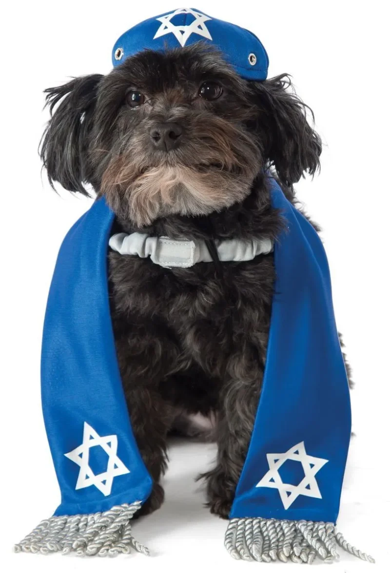 dog yarmulke tallis set perfect pet accessory