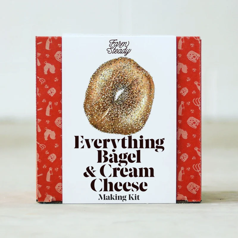 everything bagel cream cheese kit