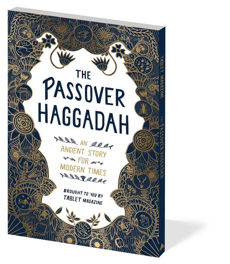 modern passover haggadah ancient story for today