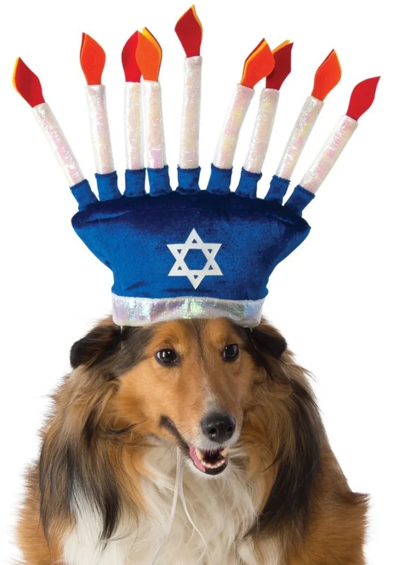 pet menorah hat for dogs festive holiday accessory