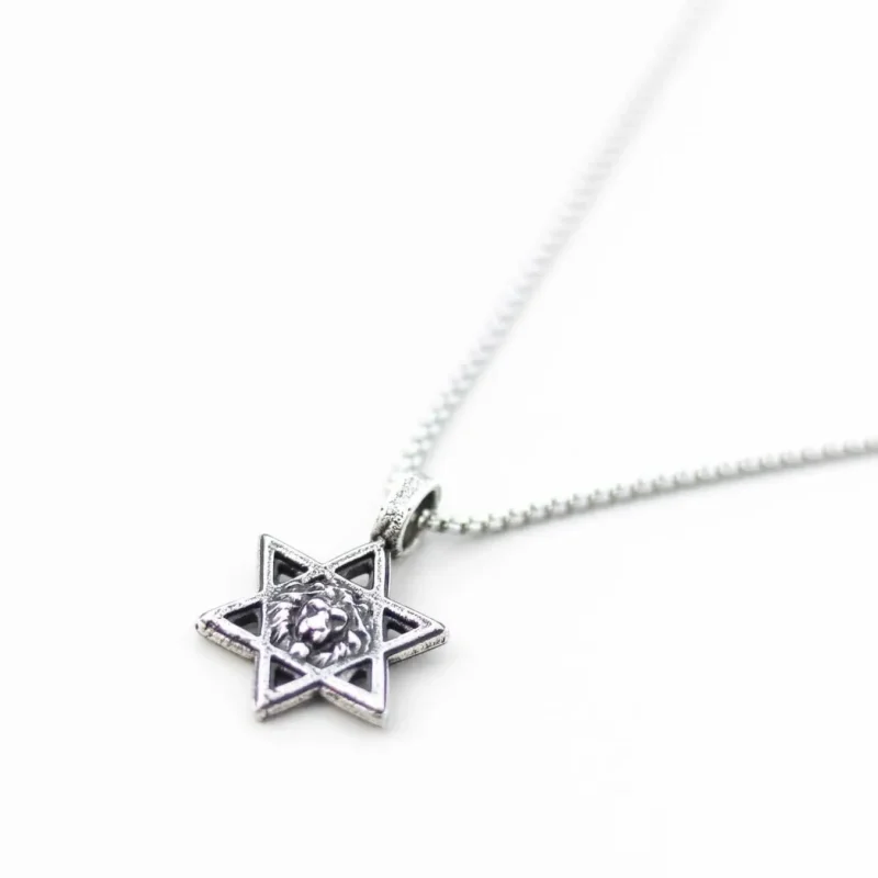 silver lion magen david necklace for men women