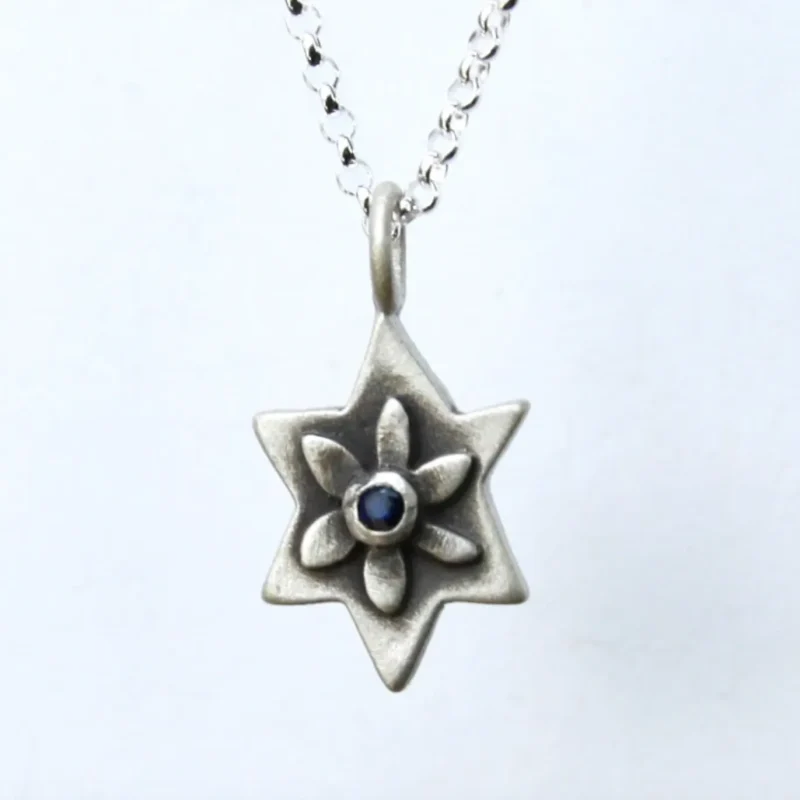 silver star of david necklace with gemstone choice by emily rosenfeld