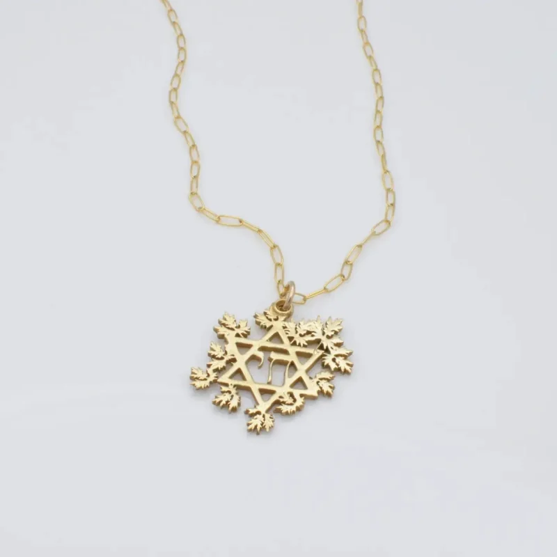 star of david chai necklace artemisia collection