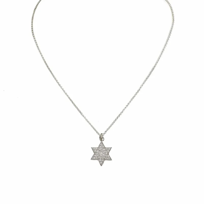 stunning star of david necklace silver or gold