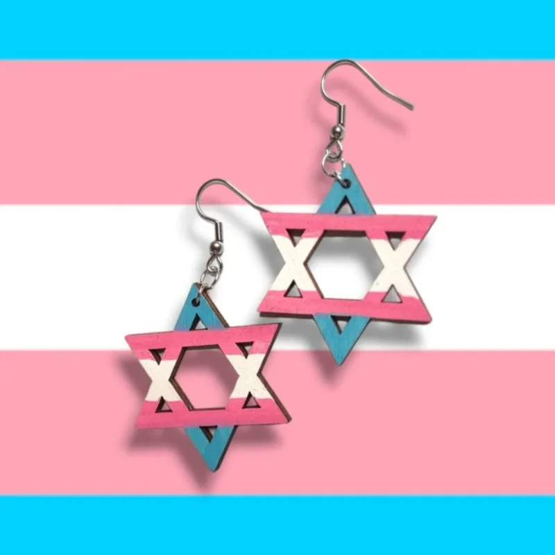 wooden trans pride star of david earrings