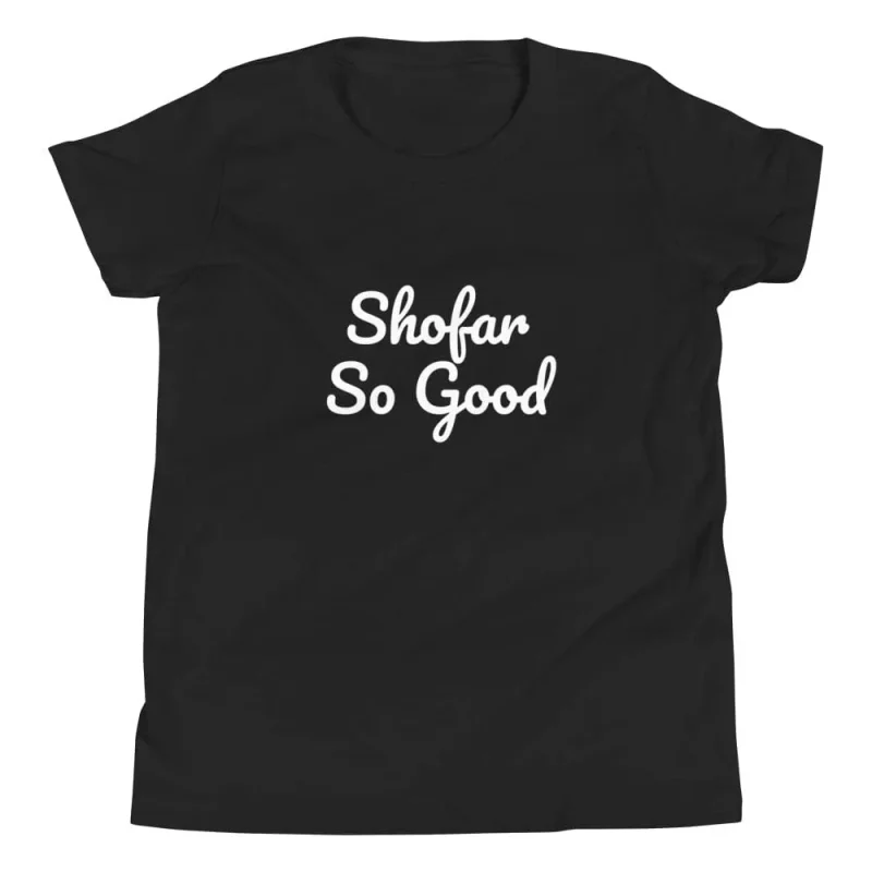 youth short sleeve t shirt shofar so good color options